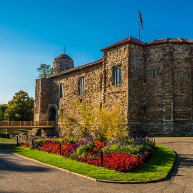 Castle with red flowers on grass