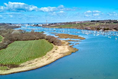 Newport