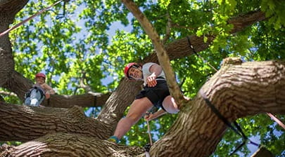 Man climbing a tree