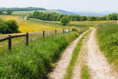 South Downs Way