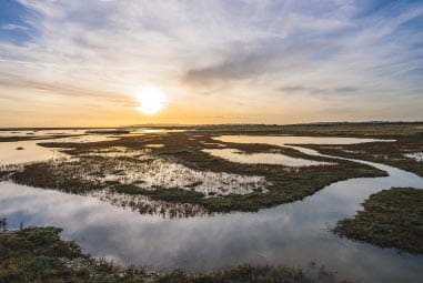 Rye Harbour Nature Reserve