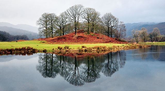 Trees overlooking a lake in the Lake District