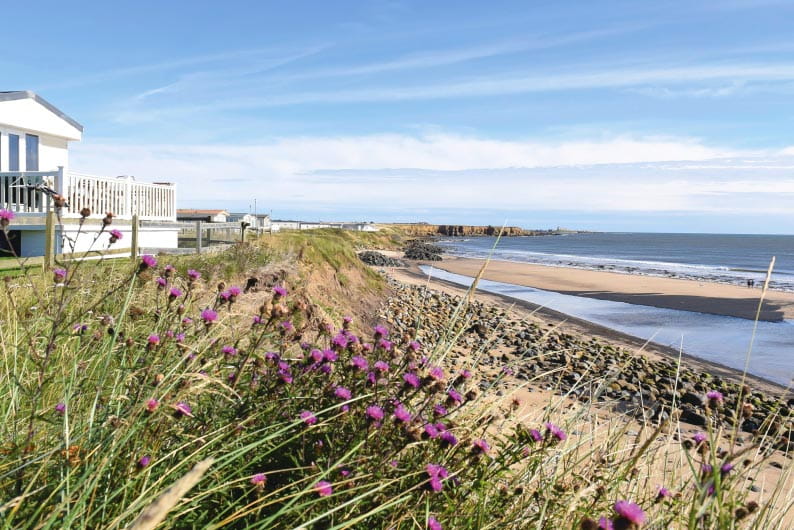 Sandy bay beach
