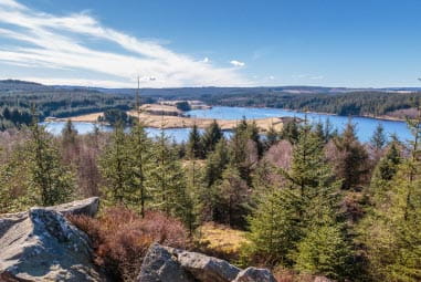 Kielder Forest