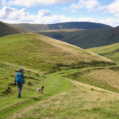 Man and dog hiking Cheviot Hills