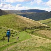 Man and dog hiking Cheviot Hills