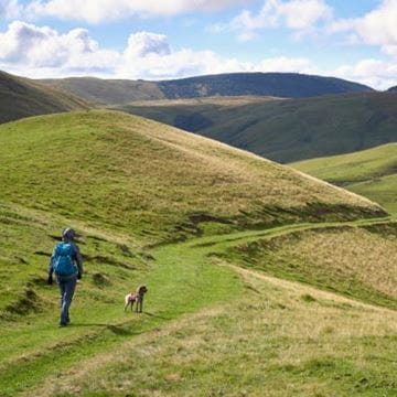 Man and dog hiking Cheviot Hills