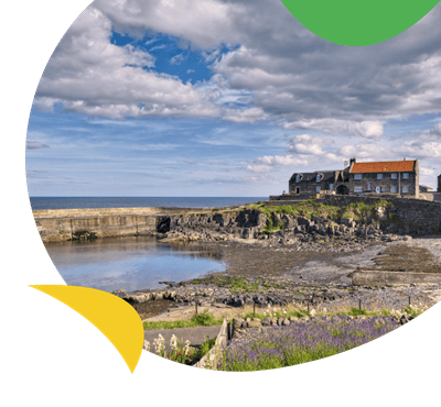 Craster