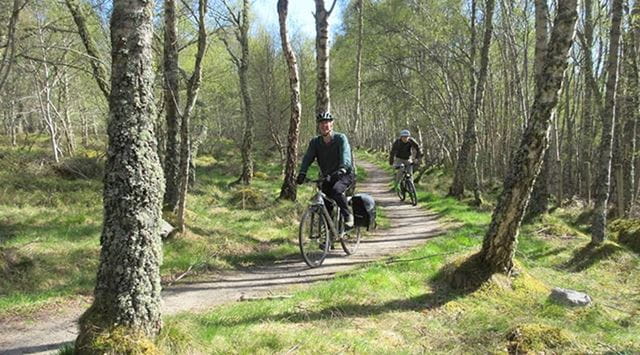 Friends mountain biking along a forest trail in the Scottish Highlands