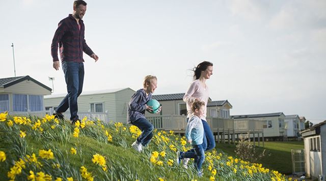 A family running down a bank of daffodils from their caravan park