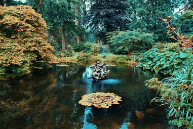 Benmore Botanic Garden