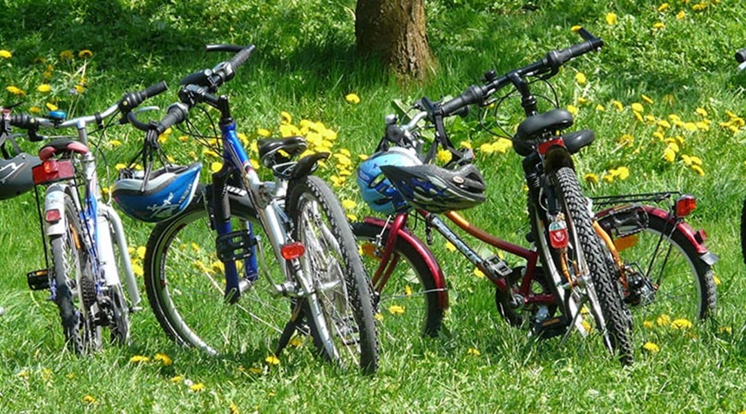 A row of bikes parked on the grass