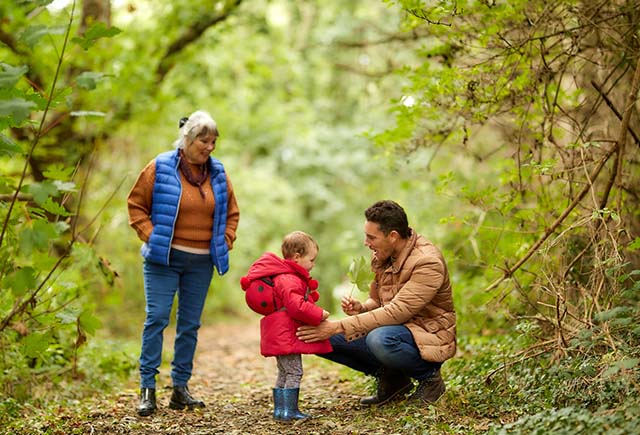 Family going for an autumn walk in the woods in Wales