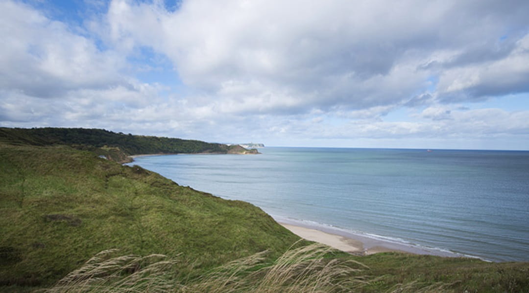 A beach view from across grassy dunes