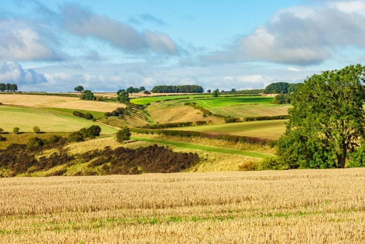 Rolling countryside