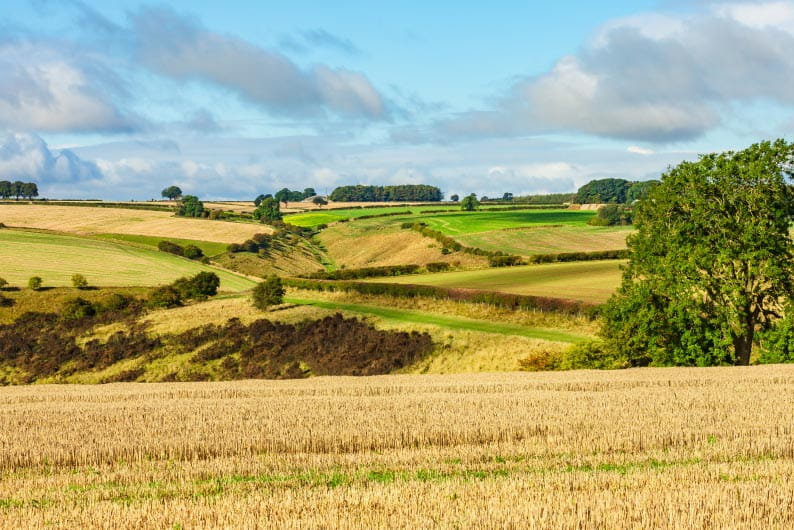 Rolling countryside