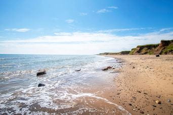 Barmston Beach