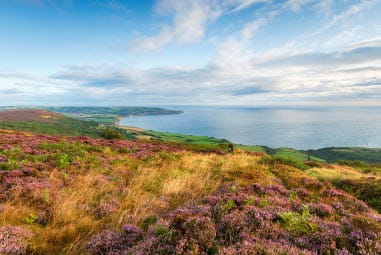 Cleveland Way