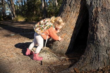 Little girl climbing tree