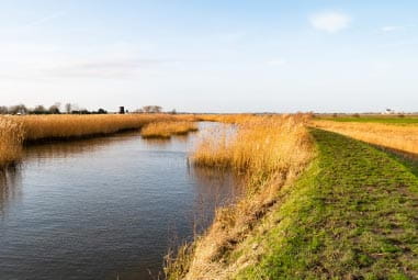 Marsh