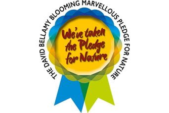 David Bellamy Award