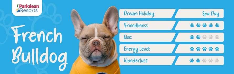 French Bulldog dream holiday