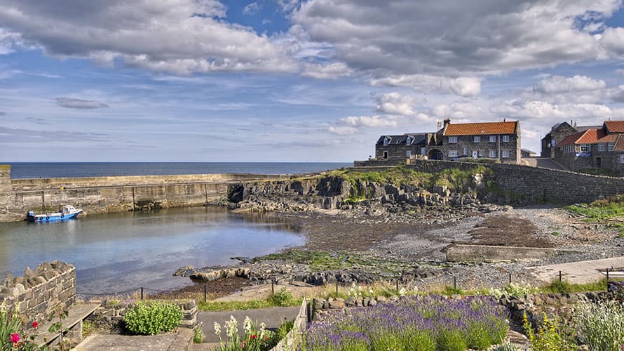 Craster Harbour in Northumberland
