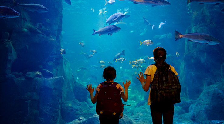 Two kids watching fish swim in an aquarium