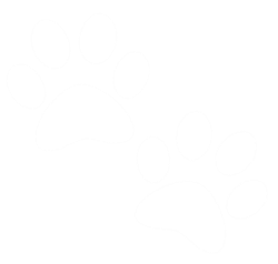 Pet friendly symbol