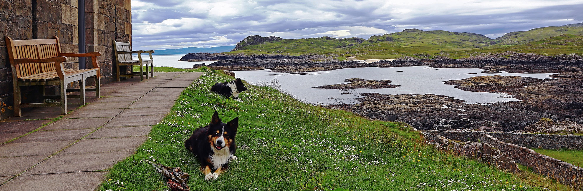 places to visit in scotland with dogs