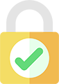 Web secure icon