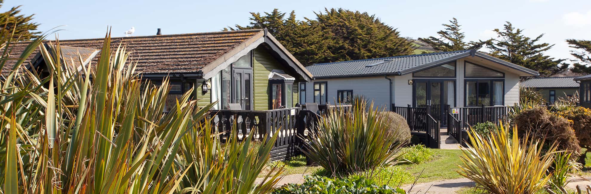 Luxury lodges and greenery at Ruda Holiday Park in Devon
