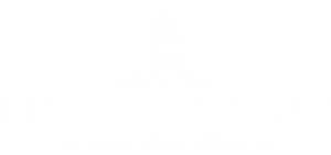Lizard Point springboard logo