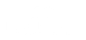 Naze Marine springboard logo