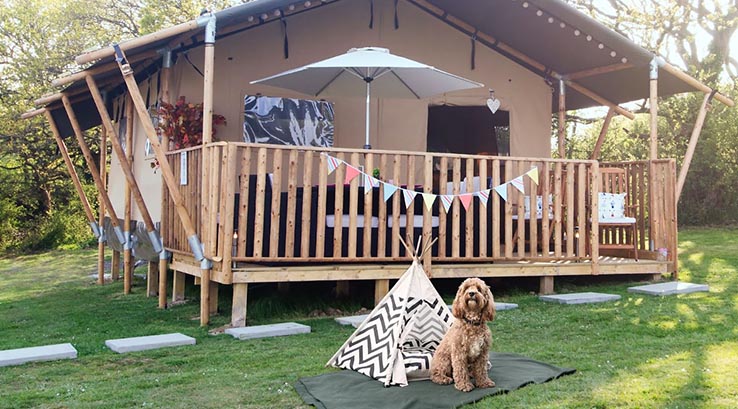 A dog sitting by its dog tipi outside a glamping safari tent