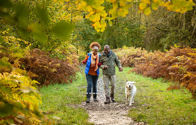 A couple walking their dog on an autumn day
