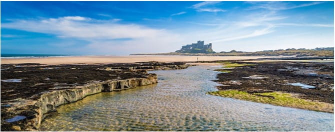 A view of Bamburgh Beach with Bamburgh Castle in the background