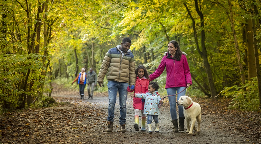 Family Walking Through Woodland with Dog