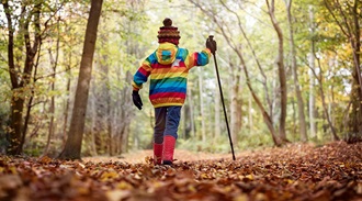 a child walking through autumnal woods