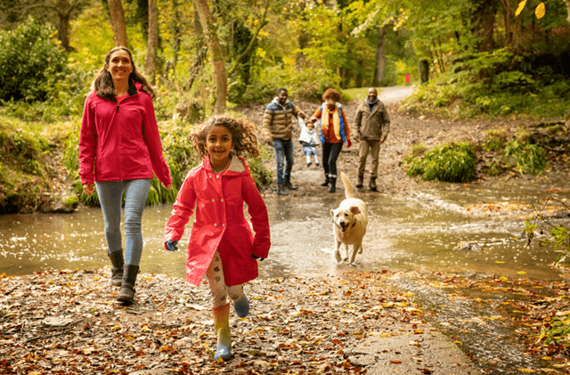 Family exploring a forest with dog