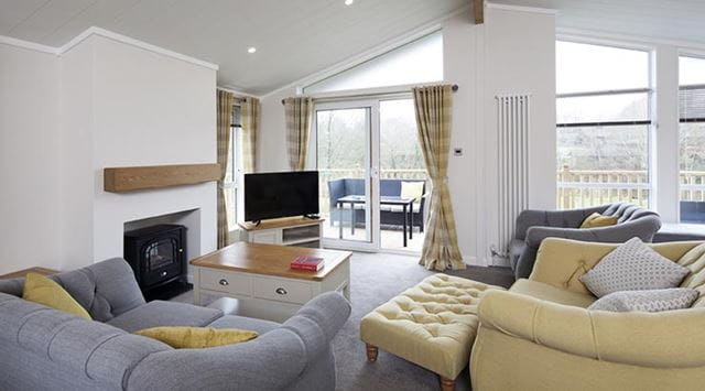 Luxury lodge living room